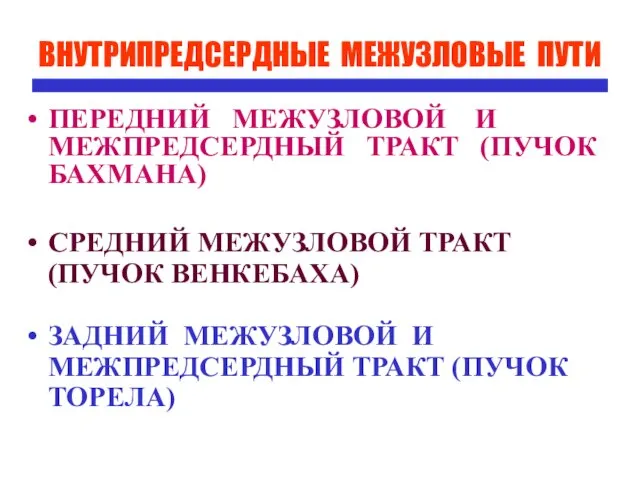 ВНУТРИПРЕДСЕРДНЫЕ МЕЖУЗЛОВЫЕ ПУТИ ПЕРЕДНИЙ МЕЖУЗЛОВОЙ И МЕЖПРЕДСЕРДНЫЙ ТРАКТ (ПУЧОК БАХМАНА) СРЕДНИЙ МЕЖУЗЛОВОЙ