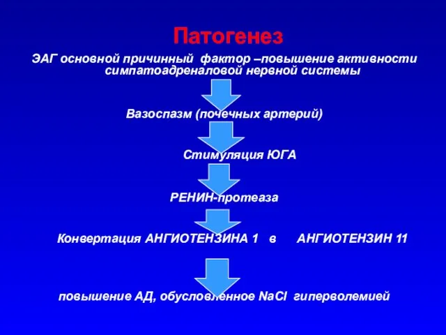 Патогенез ЭАГ основной причинный фактор –повышение активности симпатоадреналовой нервной системы Вазоспазм (почечных