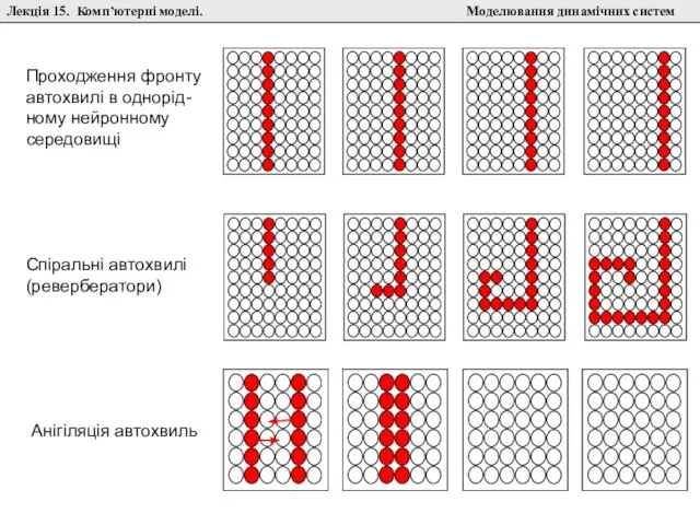 Лекція 15. Комп’ютерні моделі. Моделювання динамічних систем Анігіляція автохвиль Спіральні автохвилі (ревербератори)