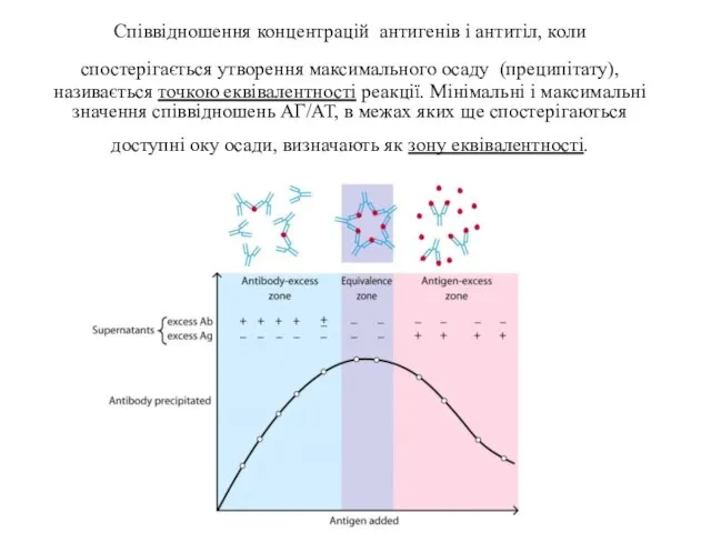 Співвідношення концентрацій антигенів і антитіл, коли спостерігається утворення максимального осаду (преципітату), називається