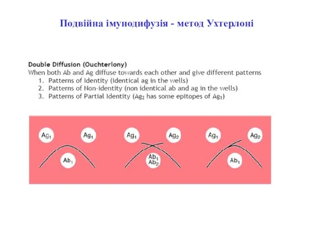 Подвійна імунодифузія - метод Ухтерлоні