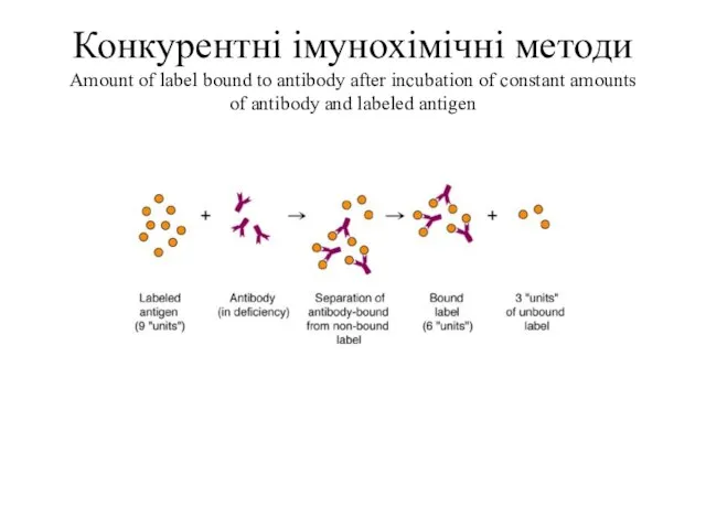 Конкурентні імунохімічні методи Amount of label bound to antibody after incubation of
