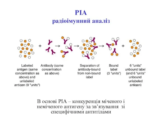 РІА радіоімунний аналіз В основі РІА – конкуренція міченого і неміченого антигену