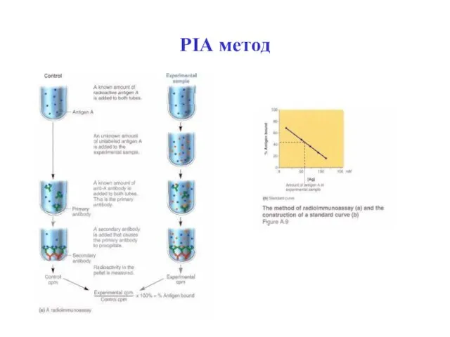 РІА метод