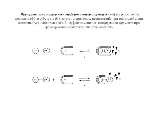 Варианты гомогенного иммуноферментного анализа А- эффект разобщения фермента (Ф) и субстрата (С)