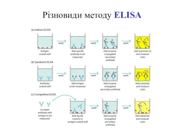 Різновиди методу ELISA