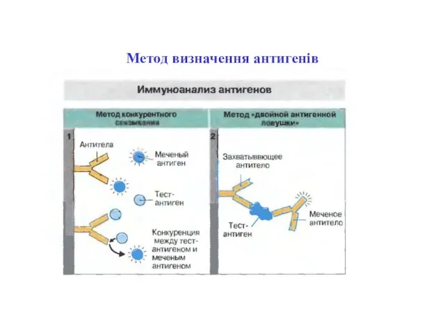 Метод визначення антигенів