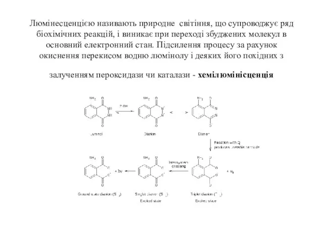 Люмінесценцією називають природне світіння, що супроводжує ряд біохімічних реакцій, і виникає при