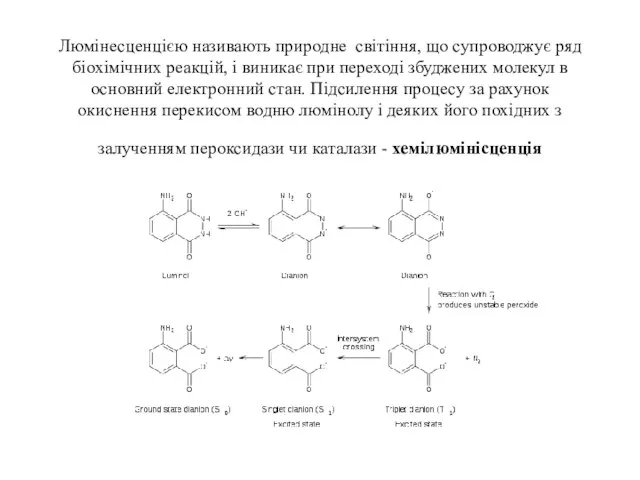 Люмінесценцією називають природне світіння, що супроводжує ряд біохімічних реакцій, і виникає при