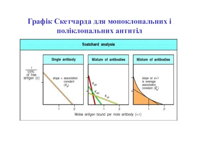 Графік Скетчарда для моноклональних і поліклональних антитіл