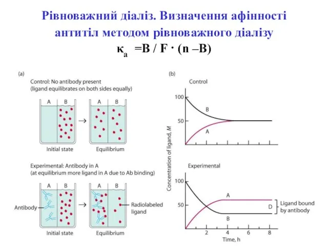 Рівноважний діаліз. Визначення афінності антитіл методом рівноважного діалізу κа =В / F · (n –B)