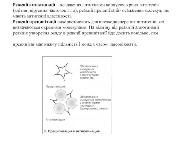 Реакції аглютинації – осадження антитілами корпускулярних антигенів (клітин, вірусних часточок і т.д),