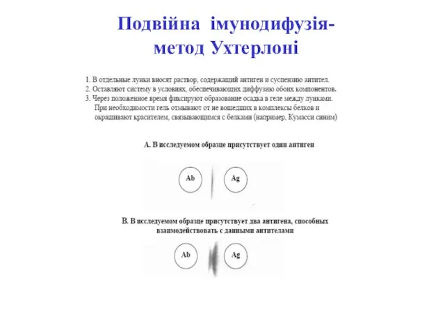 Подвійна імунодифузія- метод Ухтерлоні