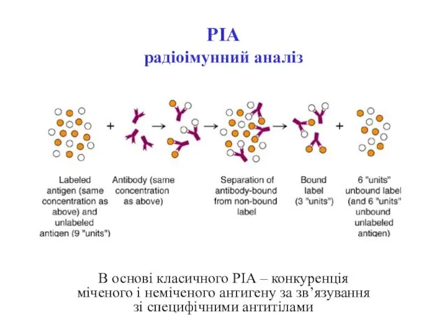 РІА радіоімунний аналіз В основі класичного РІА – конкуренція міченого і неміченого