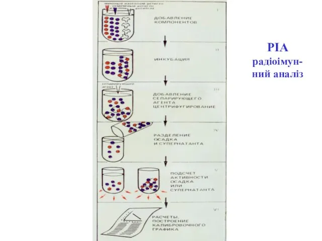 РІА радіоімун- ний аналіз