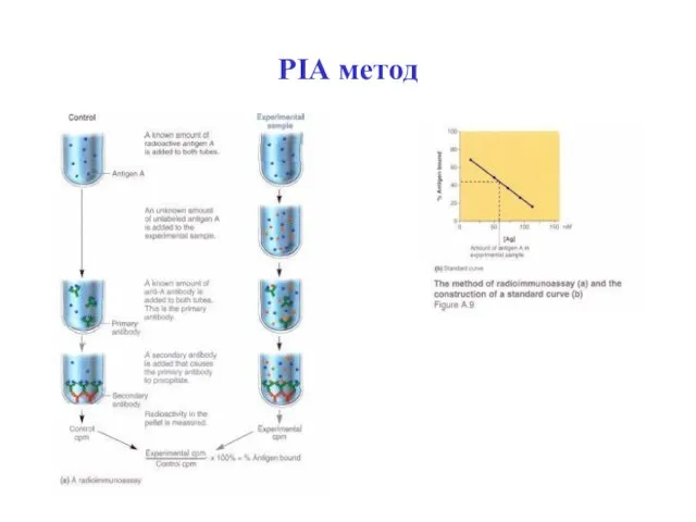 РІА метод