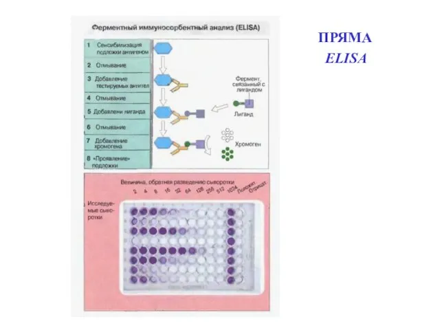 ПРЯМА ELISА