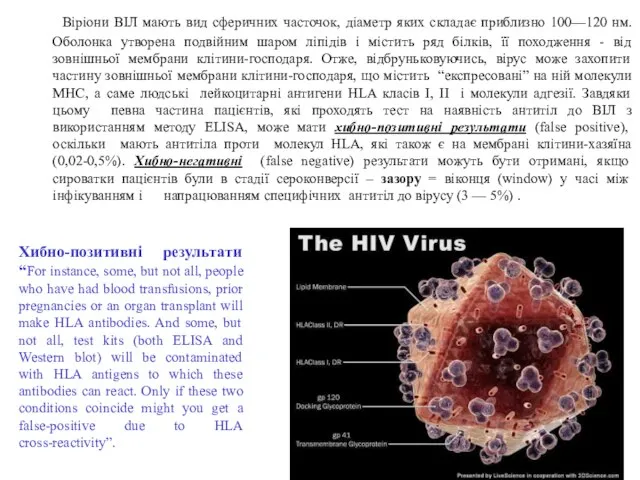 Віріони ВІЛ мають вид сферичних часточок, діаметр яких складає приблизно 100—120 нм.