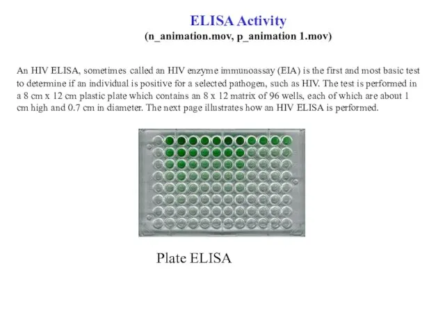 ELISA Activity (n_animation.mov, p_animation 1.mov) An HIV ELISA, sometimes called an HIV