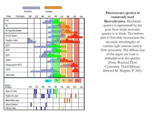 Fluorescence spectra of commonly used fluorochromes. Excitation spectra is represented by the