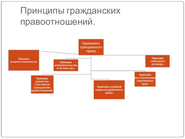 Принципы гражданских правоотношений.