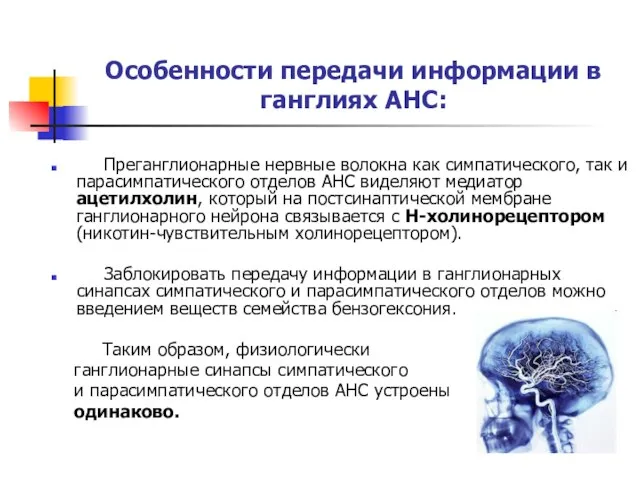 Особенности передачи информации в ганглиях АНС: Преганглионарные нервные волокна как симпатического, так