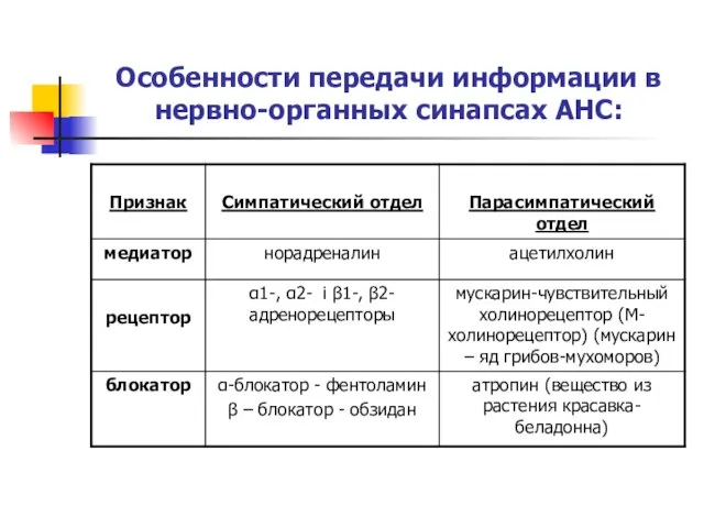 Особенности передачи информации в нервно-органных синапсах АНС: