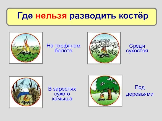 На торфяном болоте В зарослях сухого камыша Среди сухостоя Под деревьями Где нельзя разводить костёр