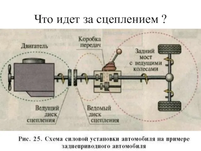 Что идет за сцеплением ?