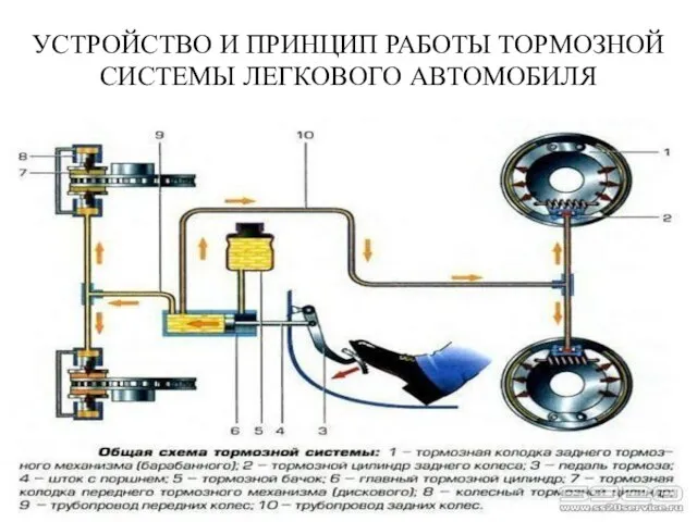 УСТРОЙСТВО И ПРИНЦИП РАБОТЫ ТОРМОЗНОЙ СИСТЕМЫ ЛЕГКОВОГО АВТОМОБИЛЯ