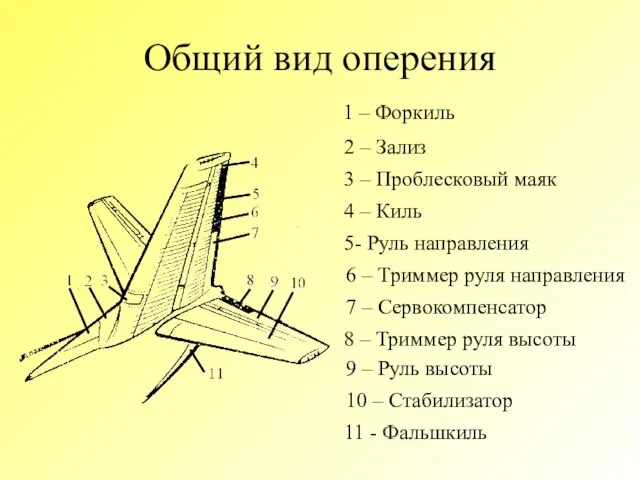 Общий вид оперения 1 – Форкиль 2 – Зализ 3 – Проблесковый