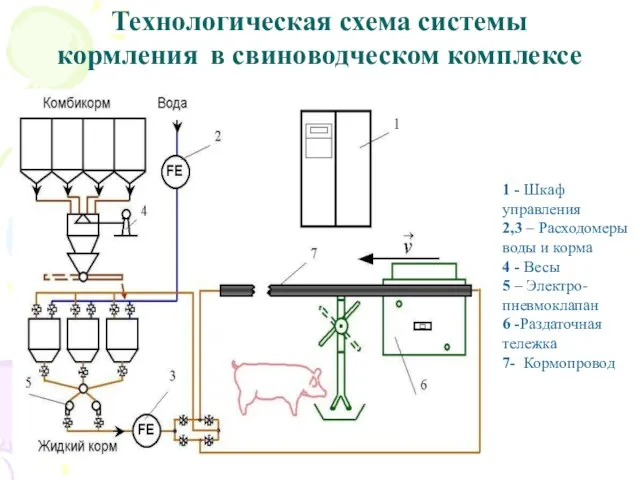 Технологическая схема системы кормления в свиноводческом комплексе 1 - Шкаф управления 2,3