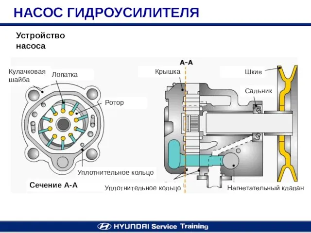 Устройство насоса НАСОС ГИДРОУСИЛИТЕЛЯ Кулачковая шайба Лопатка Ротор Уплотнительное кольцо Сечение А-А