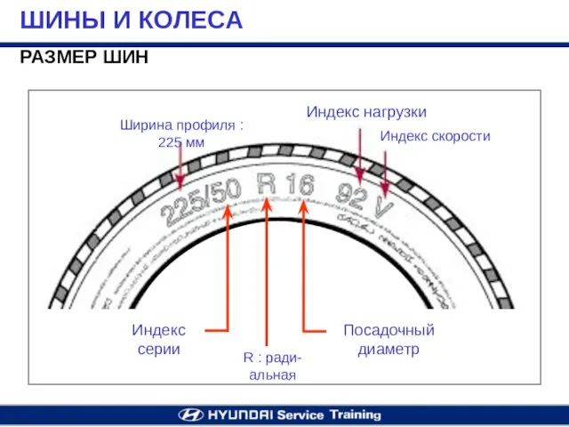 РАЗМЕР ШИН ШИНЫ И КОЛЕСА