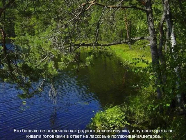 Его больше не встречала как родного лесная опушка, и луговые цветы не