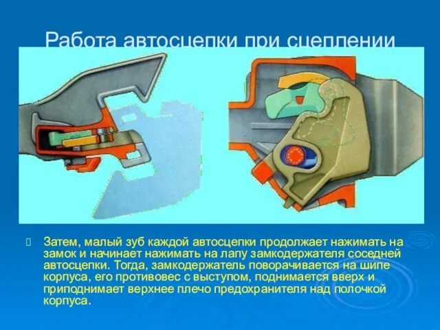 Работа автосцепки при сцеплении Затем, малый зуб каждой автосцепки продолжает нажимать на