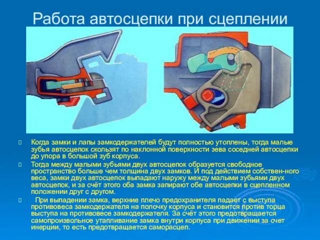 Работа автосцепки при сцеплении Когда замки и лапы замкодержателей будут полностью утоплены,