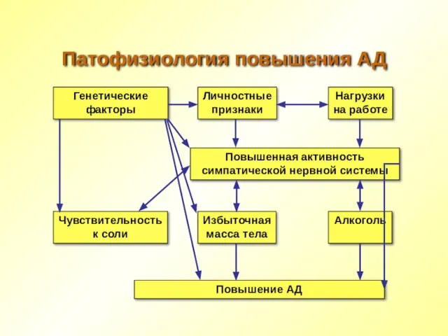 Генетические факторы Патофизиология повышения АД Личностные признаки Нагрузки на работе Чувствительность к