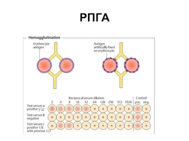 РПГА