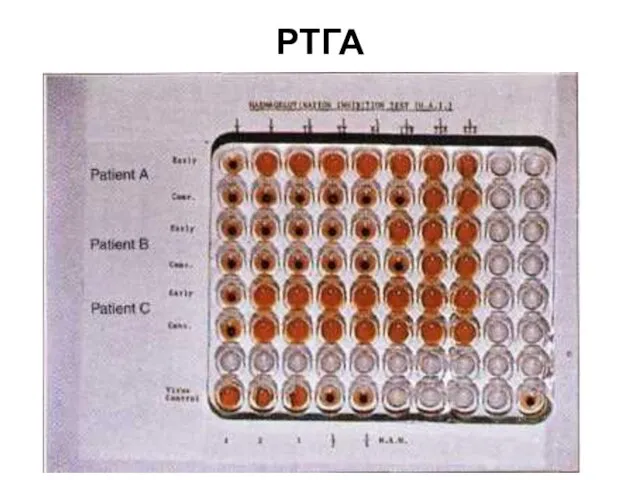 РТГА