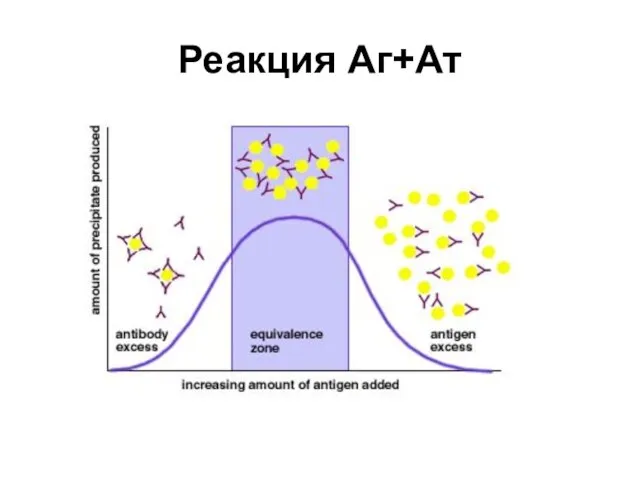 Реакция Аг+Ат