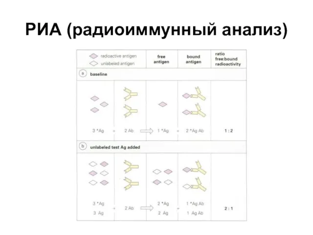 РИА (радиоиммунный анализ)