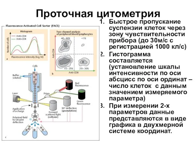 Проточная цитометрия Быстрое пропускание суспензии клеток через зону чувствительности прибора (до 30м/с