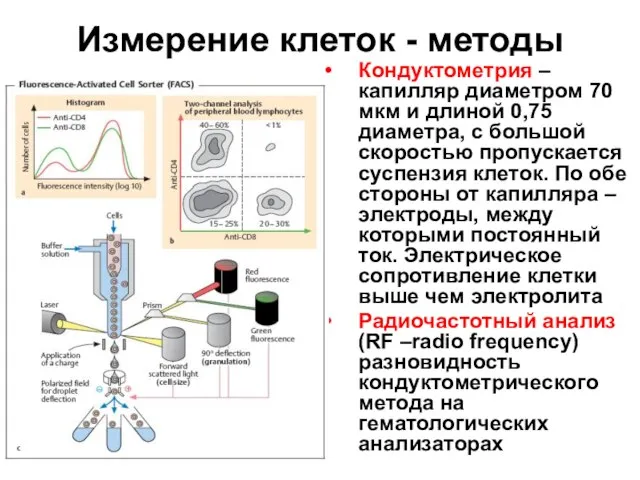 Измерение клеток - методы Кондуктометрия – капилляр диаметром 70 мкм и длиной