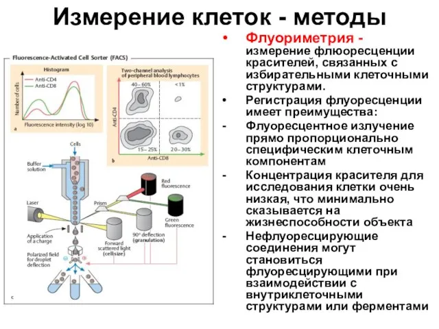 Измерение клеток - методы Флуориметрия - измерение флюоресценции красителей, связанных с избирательными