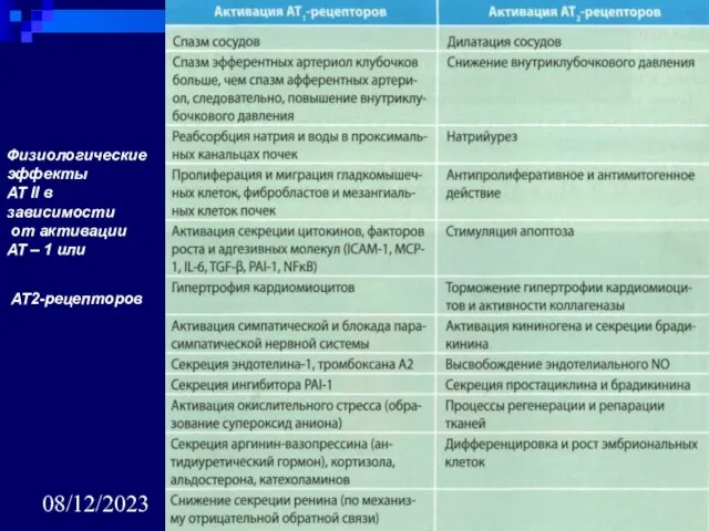 08/12/2023 Физиологические эффекты АТ II в зависимости от активации АТ – 1 или АТ2-рецепторов