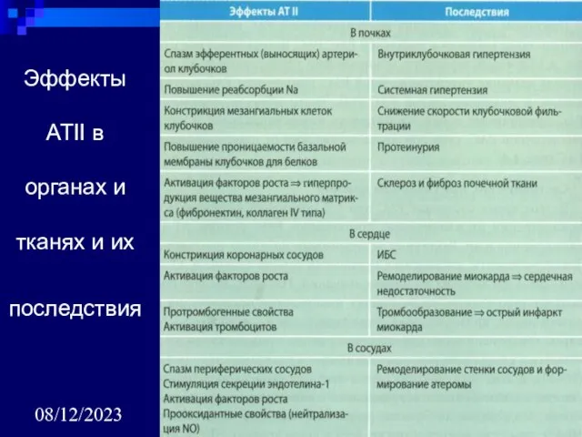 08/12/2023 Эффекты АТII в органах и тканях и их последствия