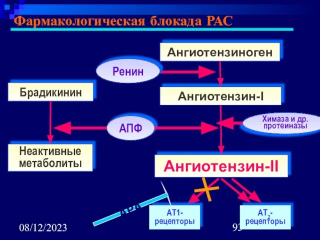 08/12/2023 Фармакологическая блокада РАС Брадикинин Ангиотензиноген Неактивные метаболиты Ренин АПФ Химаза и