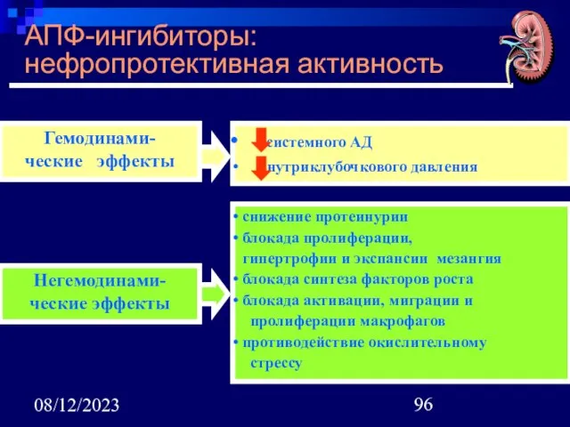 08/12/2023 АПФ-ингибиторы: нефропротективная активность Гемодинами- ческие эффекты Негемодинами- ческие эффекты системного АД