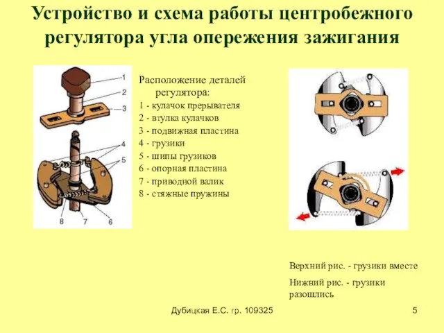 Дубицкая Е.С. гр. 109325 Устройство и схема работы центробежного регулятора угла опережения